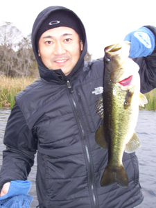 Lake Toho Bass Fishing