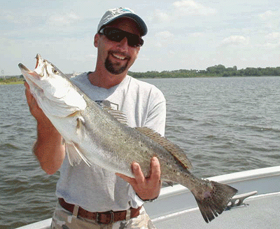 Scott's 5 Pounder