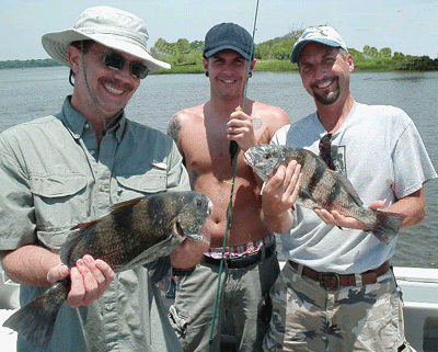 Pup Black Drum FUN!