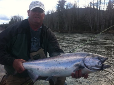 Kitimat River Chinook: Mike Horan, guest of Kitimat Lodge landed this bright, fresh Chinook with a 7 wt Spey rod with Rio line and Maxima http://www.brecksinc/en/maxima.htm tippet. Photo by Tracey Hittel