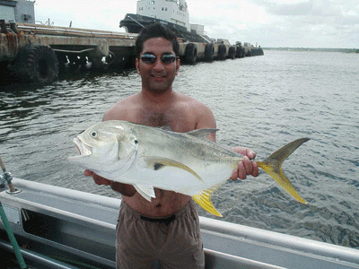 Here's the fish that Kicked butt, up against a craggy ship yard dock