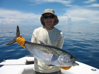 Blackfin Tuna