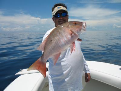 Tasty Mutton Snapper