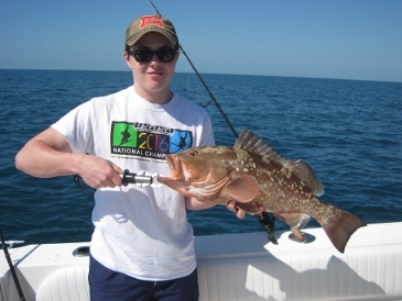 24-inch red grouper on pinfish