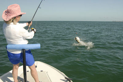 Andrea Lutz, from Atlanta, GA, battles a tarpon caught off Sarasota while fishing with Capt. Rick Grassett.
