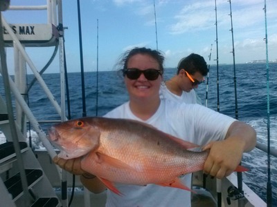 Nice mutton snapper