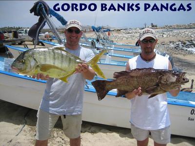 Golden Jack & Leopard Grouper