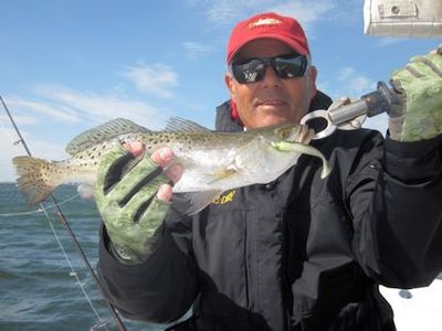 Bill Moore's Sarasota Bay CAL shad trout caught with Capt. Rick Grassett