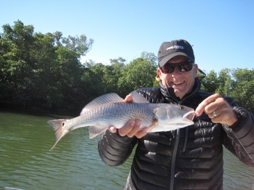 20-inch redfish