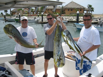 Dorado - Mahi Mahi Fishing Cabo San Lucas