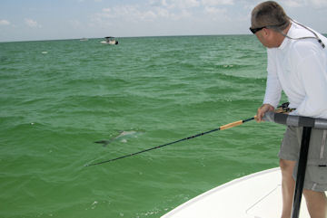 Capt. Andy Cotton, from Sarasota, FL, battles a tarpon caught on a fly while fishing with his father-in-law, Capt. Rick Grassett.