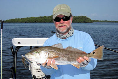 Capt. Rick Grassett Sarasota Bay top water plug redfish