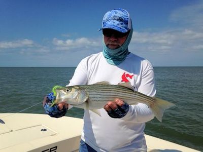 Capt. Rick Grassett with a Chesapeake Bay striper caught and released on a fly while fishing with Capt. Kevin Josenhans.