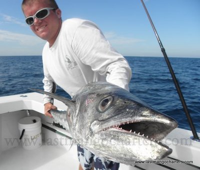 35 lb king caught Sunday fish_fort_pierce_florida
