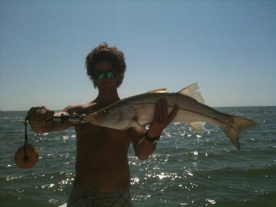 Nice Clearwater Snook
