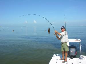 Capt. Fred puts the rod to a summer redfish on the flats near Piney Point. Note the graceful bend of the rod, due to nine guides, strategically placed to keep the line close to the blank.