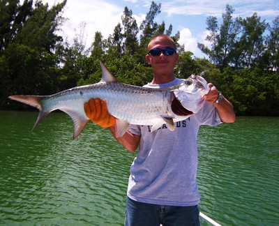 Miami Tarpon