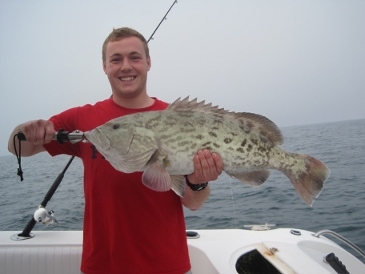 31-inch gag grouper, released due to closed season