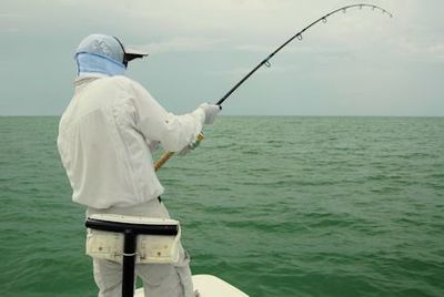Denis Clohisy, from WI, battles a tarpon in the coastal gulf in Sarasota while fishing with Capt. Rick Grassett.