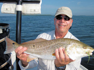 Gary Mintz Sarasota fly red caught & released with Capt. Rick Grassett.