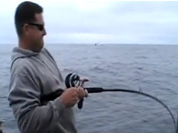 Here is Larry reeling in a Halibut in the second video.