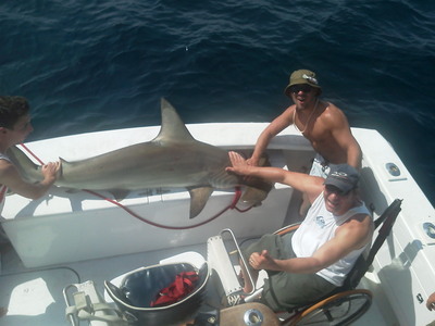 Hammerhead shark caught in Fort Lauderdale