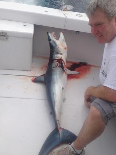 Mako shark just caught fishing in Ft Lauderdale