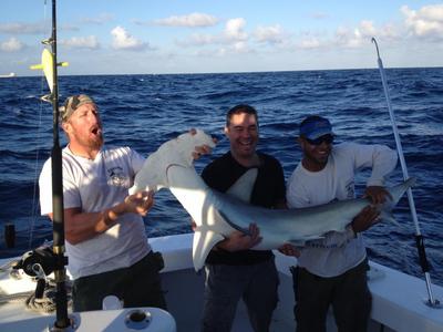 Nice hammerhead shark caught today shark fishing