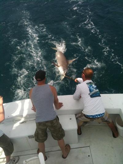 Big T Head behind the boat in Ft Lauderdale