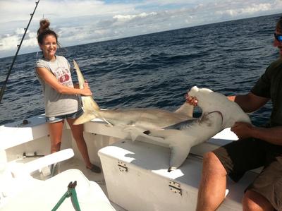 Big hammerhead caught shark fishing