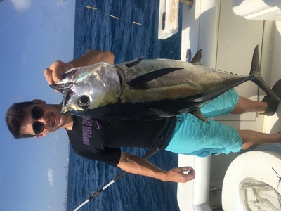 Nice tuna caught trolling off Fort Lauderdale