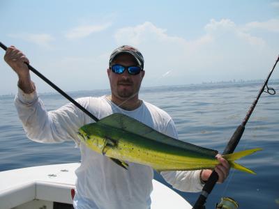 Typical summertime mahi mahi