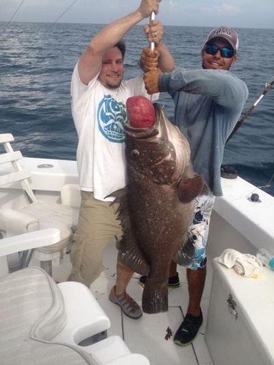 Warsaw grouper caught deep dropping in Ft Lauderdale