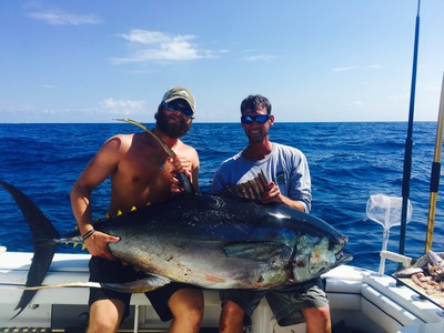 Big Yellowfin Tuna!