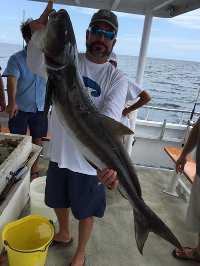 Nice cobia caught on the Mary B III