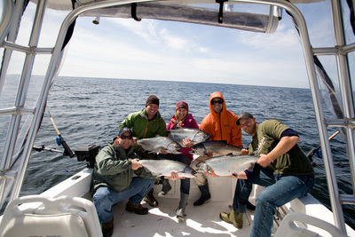 Great Tofino B.C. Chinook Salmon catch - Koreski image