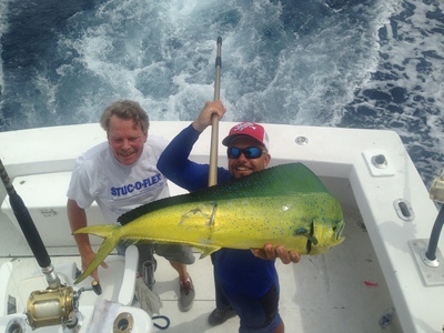Nice dolphin just caught on our sportfishing charter