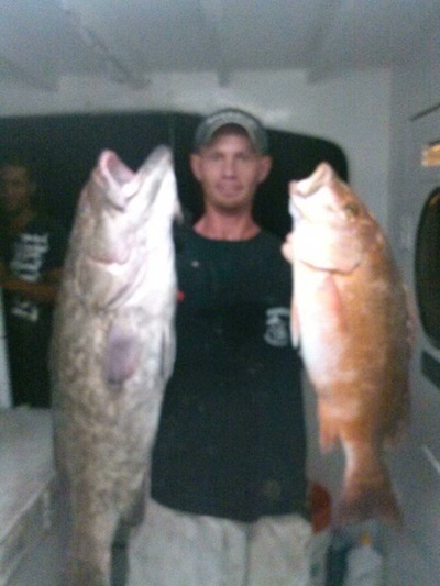 Mutton snapper and grouper