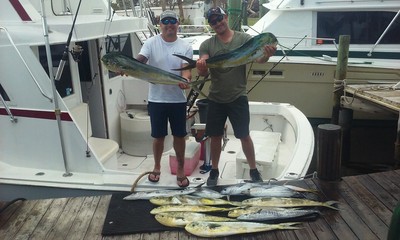 Nice dolphin and wahoo catch on a 4 hour charter
