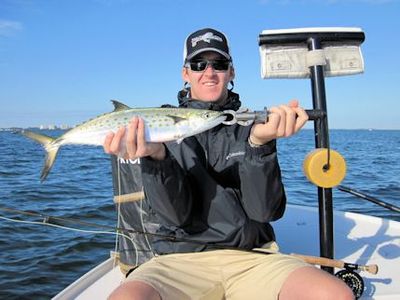 Ian McEachern Sarasota Bay fly Spanish mackerel caught and released with Capt. Rick Grassett
