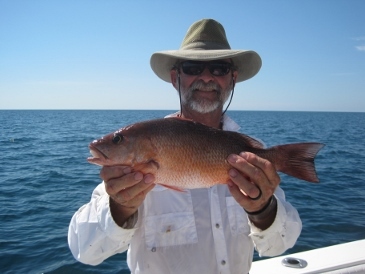 Joe Hogue with a 16-inch mangrove snapper, caught on squid 35 miles west of New Pass 9-17-16
