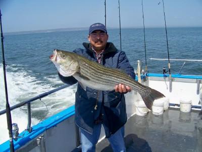 Jose Santos/Rahway, N.J. Pool fish