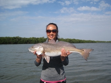 29-inch bull redfish caught on shrimp and released