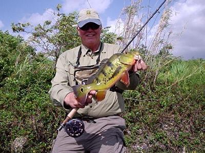 Fly Fishing For Florida Peacock Bass