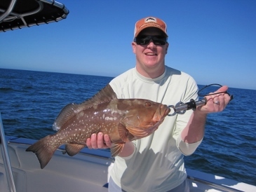 25-inch red grouper, caught on a blue runner, and released