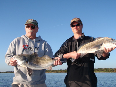 A pair of Black Drum!