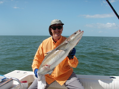 ANOTHER KEEPER COBIA