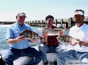 Cliff with a nice Sheepshead, John with a slot Red and Bobby with a keeper Sheepshead, what a great day !