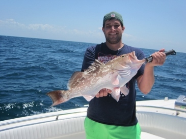 25-inch red grouper, on a baitfish