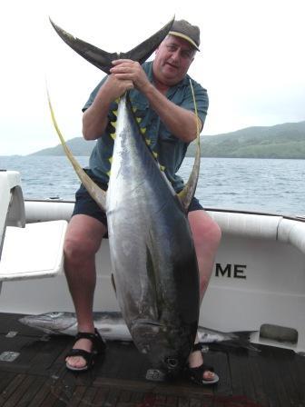 Yellow fin tuna 'by catch'